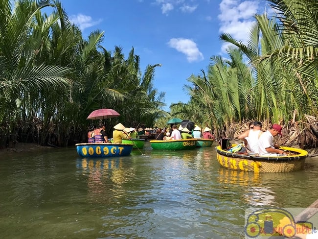 THAM QUAN RỪNG DỪA 1 NGÀY