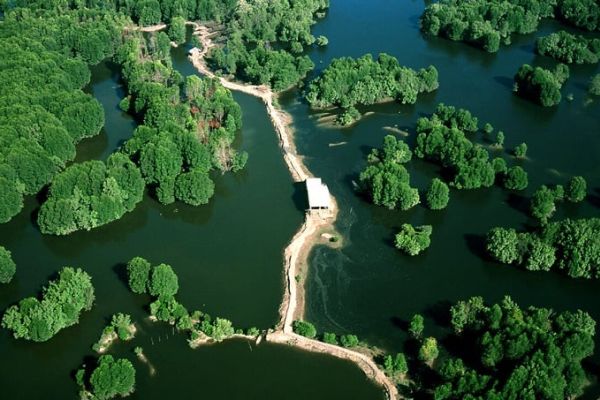 Cần Giờ – Hành Trình Xanh: Khám Phá Rừng Sác &Văn Hóa Miền Biển