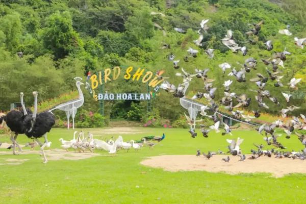 VÉ ĐẢO HOA LAN NHA TRANG